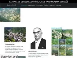 Sites similar to caykaradernek.org.tr