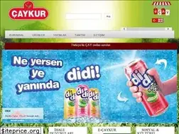 Sites similar to caykur.gov.tr