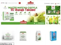 Sites similar to caykursatis.com