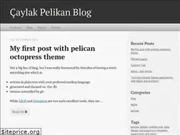 Sites similar to caylakpenguen.github.io