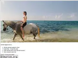 Sites similar to caymanhorseriding.com