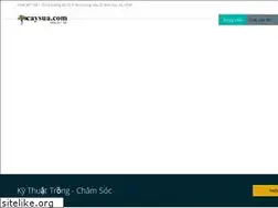 Sites similar to caysua.com