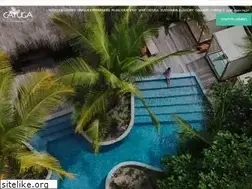 Sites similar to cayugacollection.com