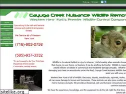 Sites similar to cayugacreekwildlife.com