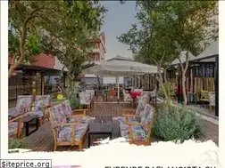 Sites similar to cayveotesi.com