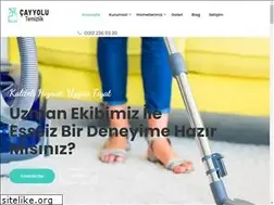 Sites similar to cayyolutemizlik.com