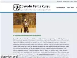 Sites similar to cayyolutenis.com