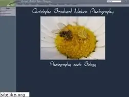 Sites similar to cbrochard.com