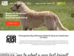 Sites similar to cbrrescue.org