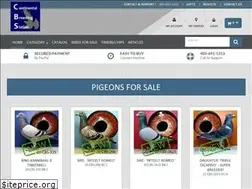 Sites similar to cbspigeon.com