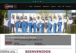 Sites similar to cbtis213.edu.mx