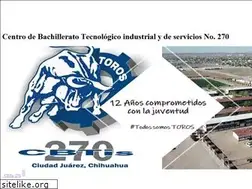Sites similar to cbtis270.edu.mx