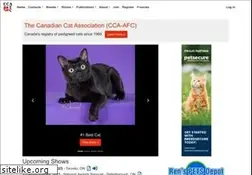 Sites similar to cca-afc.com