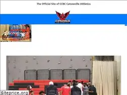 Sites similar to ccbccatonsvillecardinals.com