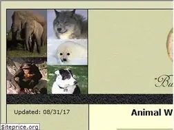 Sites similar to ccforaction.com