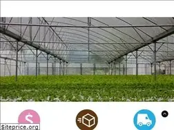 Sites similar to ccgrow.com