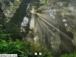 Sites similar to ccl-bsf.com