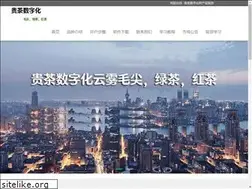 Sites similar to ccswust.com.cn