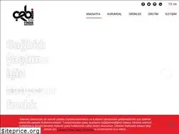Sites similar to cebifindik.com.tr