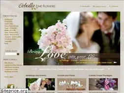 Sites similar to cebollafineflowers.com