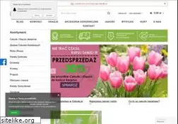 Sites similar to cebule.pl