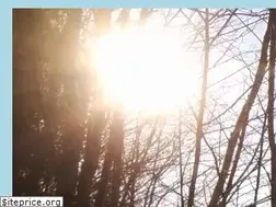 Sites similar to cedar.de