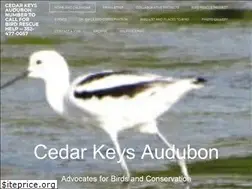 Sites similar to cedarkeysaudubon.org