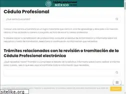 Sites similar to cedulaprofesionalenlinea.com.mx
