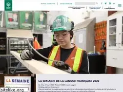 Sites similar to cegepstfe.ca