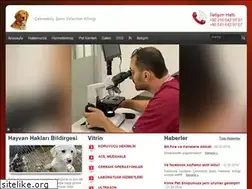 Sites similar to cekmekoyveteriner.com