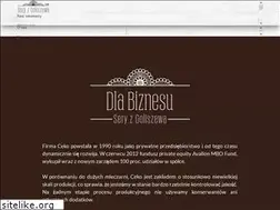 Sites similar to ceko.pl