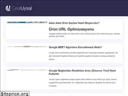 Sites similar to celaluysal.com