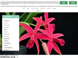 Sites similar to celaorchidee.it