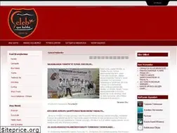 Sites similar to celebispor.com