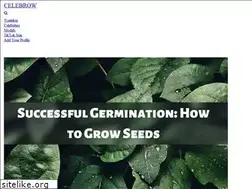 Sites similar to celebrow.com
