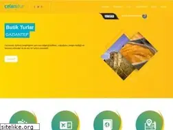 Sites similar to celentur.com