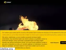 Sites similar to celikel.com