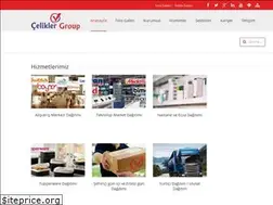 Sites similar to celiklergrouplojistik.com