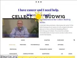 Sites similar to cellectbudwig.com