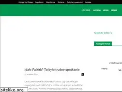 Sites similar to celticpoland.com
