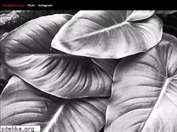 Sites similar to cemgulenc.com