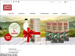 Sites similar to cemilefendi.com