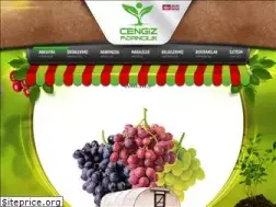 Sites similar to cengizfidancilik.com