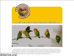 Sites similar to cennetpapagani.com