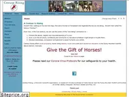 Sites similar to centaurrising.org