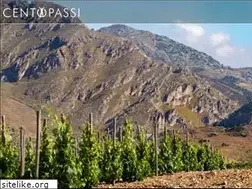 Sites similar to centopassisicilia.it