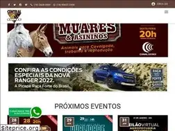 Sites similar to centralleiloes.com.br