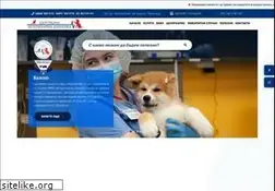 Sites similar to centralvetclinic.com