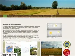 Sites similar to centrefrancaisduriz.fr