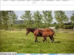 Sites similar to centroequinoarcadia.it